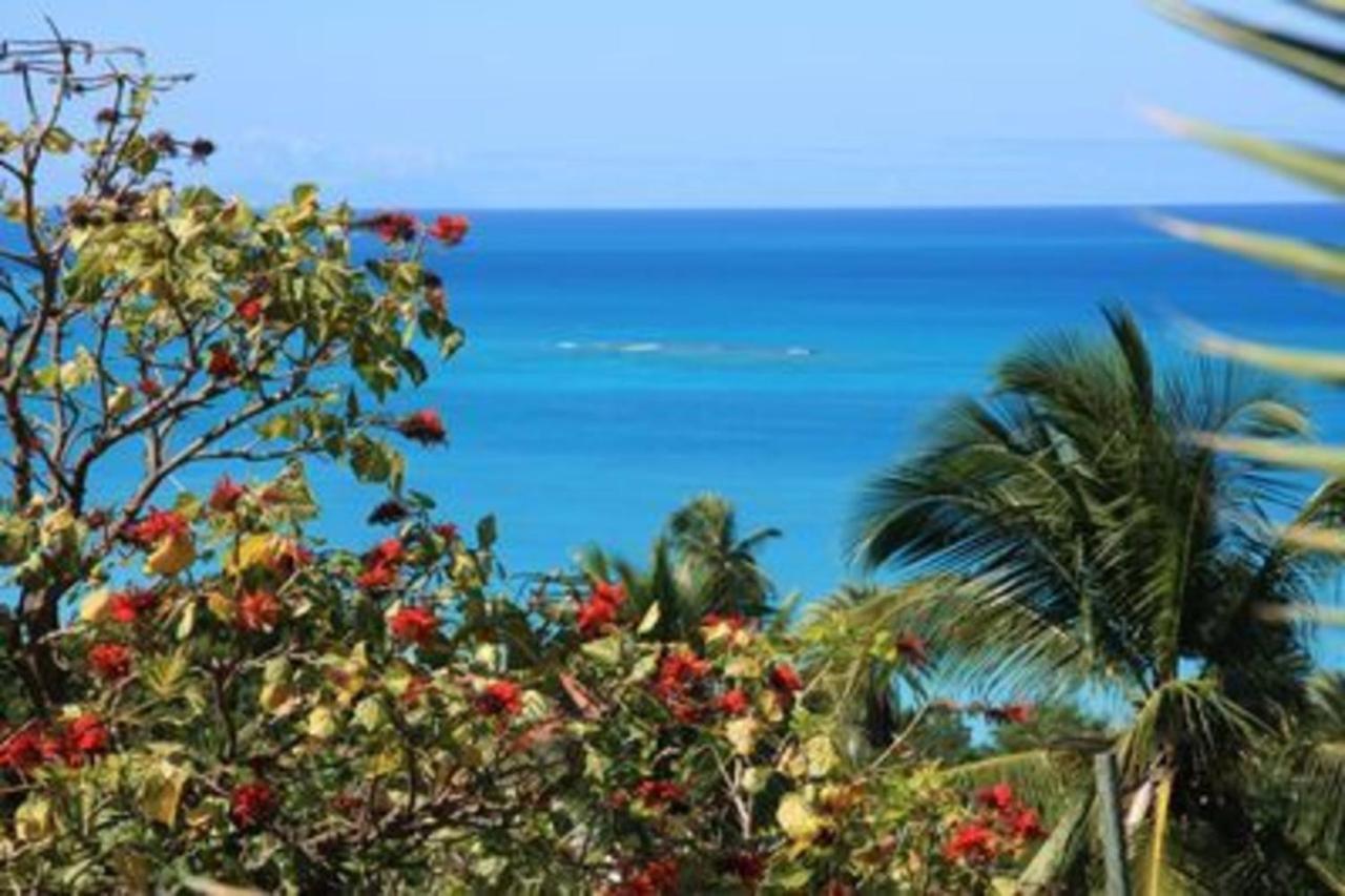 Dickenson Bay Attractive 2-Bed Apartment Stunning Sea View מראה חיצוני תמונה